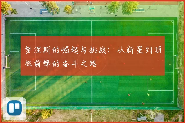 努涅斯的崛起与挑战：从新星到顶级前锋的奋斗之路