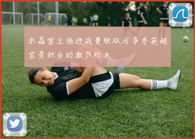 水晶宫主场迎战曼联双方争夺英超宝贵积分的激烈对决